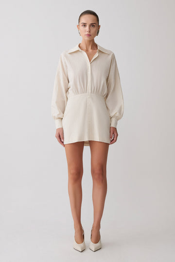 Ivy Shirt Mini Dress