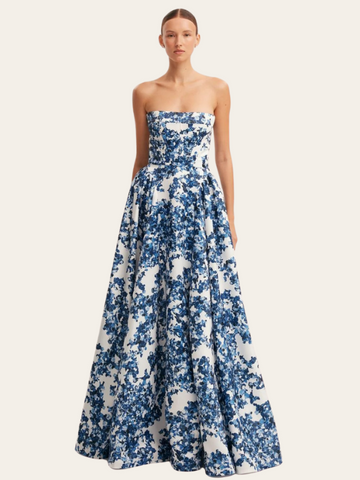 Ariana Elegant Strapless Maxi Dress